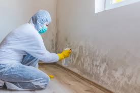 Best Mold Prevention Services in Ventnor City, NJ